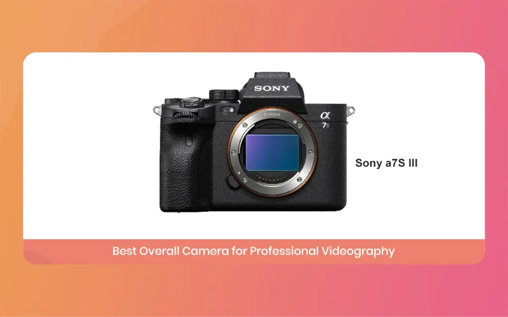 Best Camera for Videography
