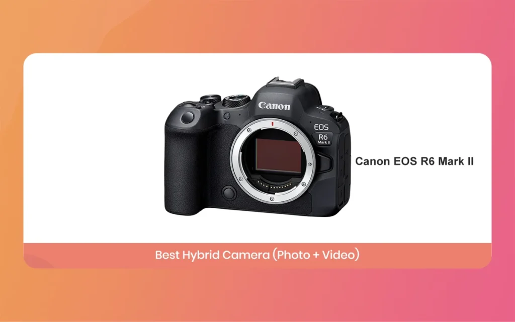 Best Camera for Videography