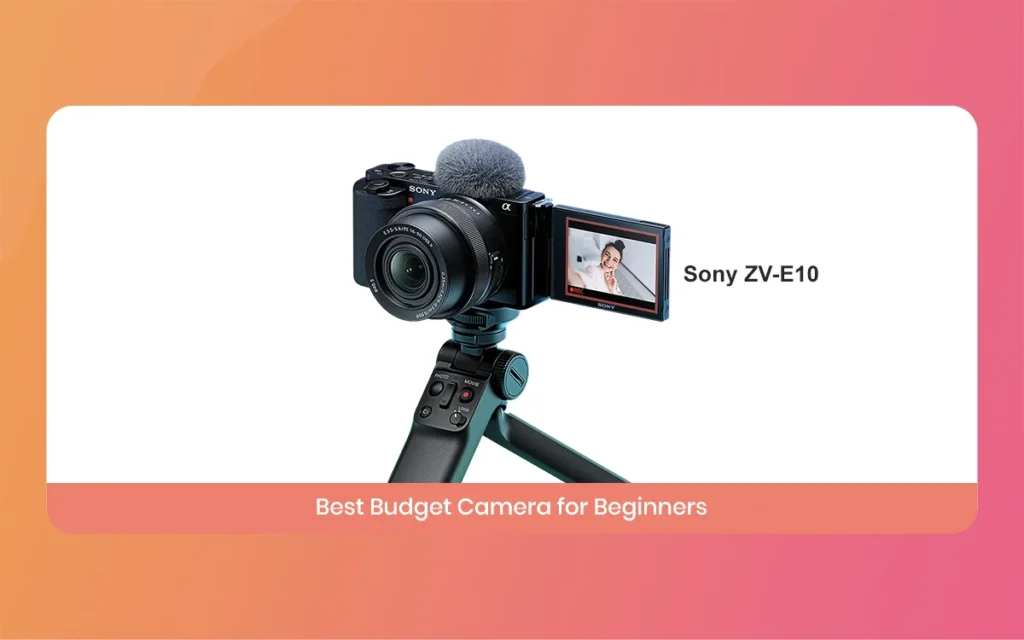 Best Camera for Videography
