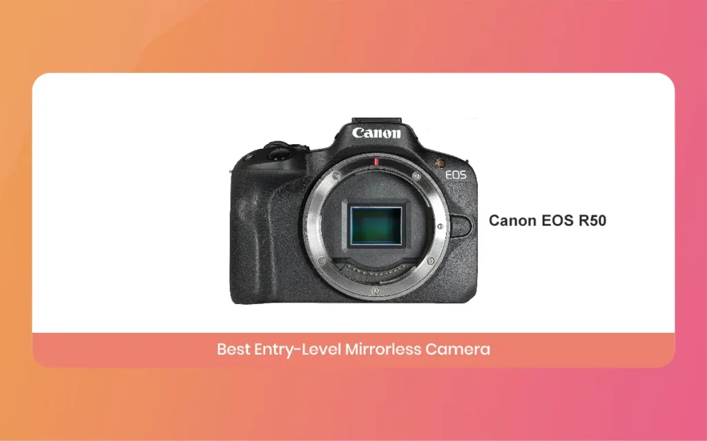 Best Camera for Videography