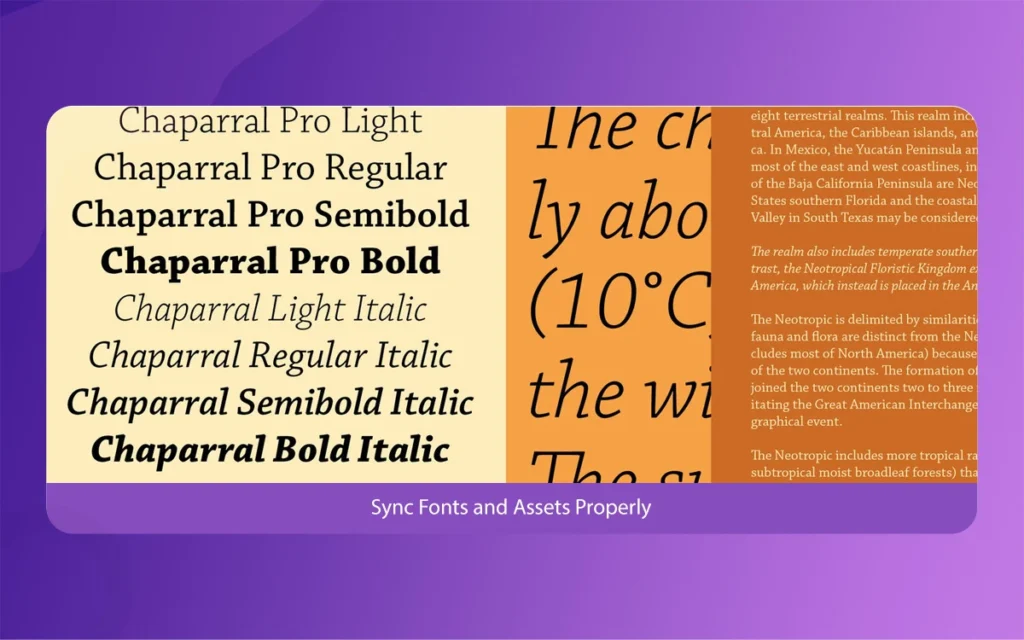Adobe Creative Cloud