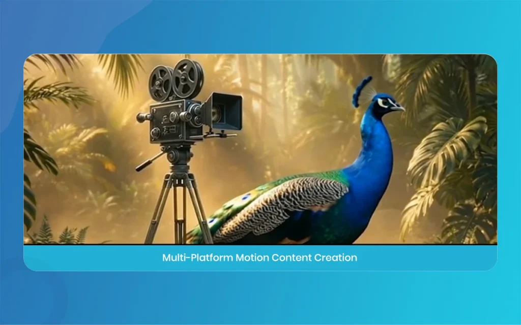 Motion graphics company