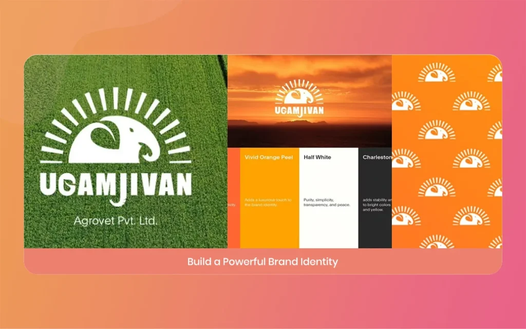 Graphic design studio in Ahmedabad