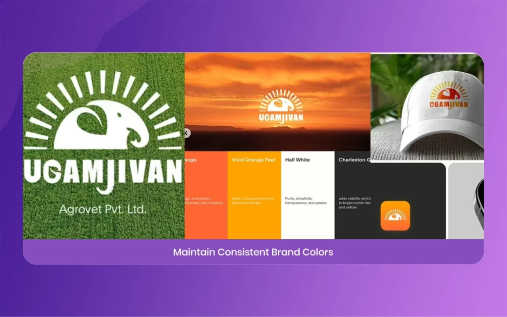Design agency in Ahmedabad