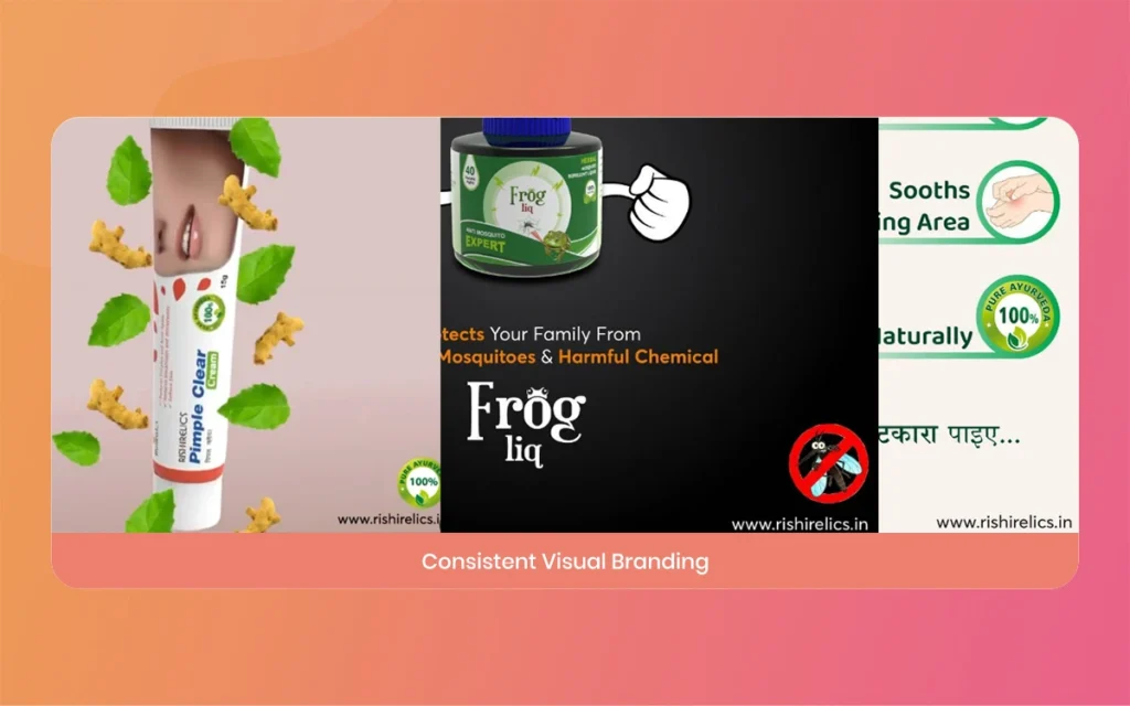 Best Branding Agency in Gujarat